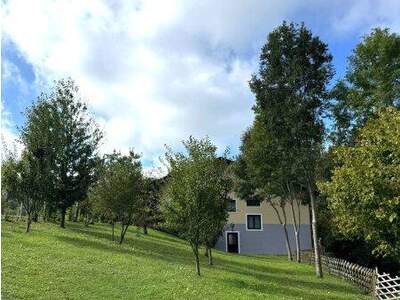 Einfamilienhaus kaufen in 4072 Alkoven (Bild 5)