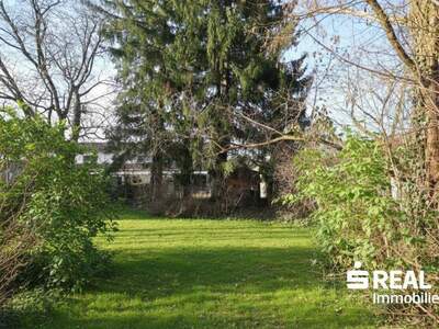 Grundstück kaufen in 4050 Traun (Bild 1)