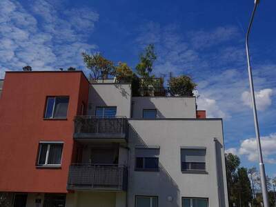 Wohnung mit Balkon mieten in 1210 WIen (Bild 2)