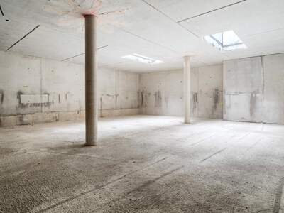 Bürogebäude mieten in 1220 Wien (Bild 2)