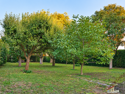 Grundstück kaufen in 2041 Wullersdorf (Bild 3)