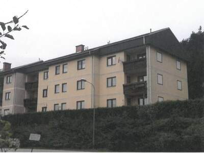 Wohnung kaufen in 2733 Grünbach (Bild 1)