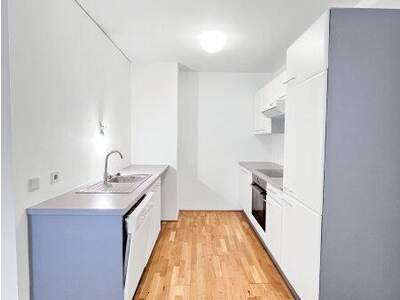 Terrassenwohnung kaufen in 1020 Wien (Bild 5)