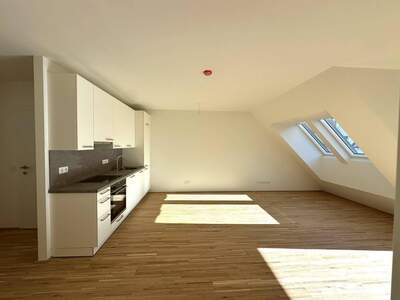 Anlageobjekt kaufen in 1220 Wien