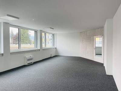 Gewerbeobjekt mieten in 5020 Salzburg (Bild 2)
