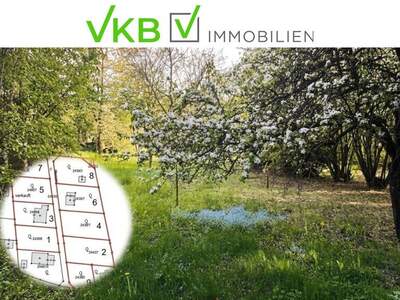 Grundstück kaufen in 4211 Spattendorf