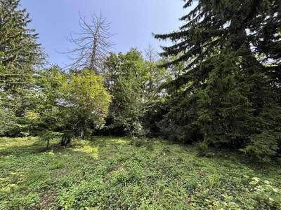 Anlageobjekt kaufen in 2604 Theresienfeld