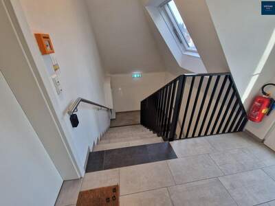 Gewerbeobjekt mieten in 8010 Graz (Bild 4)