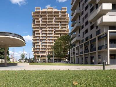 Terrassenwohnung mieten in 8020 Graz (Bild 3)