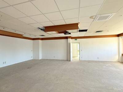 Gewerbeobjekt mieten in 2380 Perchtoldsdorf (Bild 3)