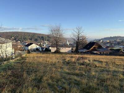 Grundstück kaufen in 7203 Wiesen (Bild 2)