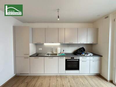 Terrassenwohnung mieten in 1220 Wien (Bild 2)