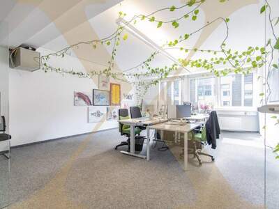 Büro / Praxis mieten in 4020 Linz (Bild 1)