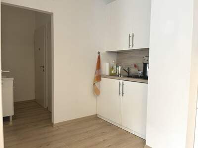 Gewerbeobjekt kaufen in 2345 Brunn (Bild 5)