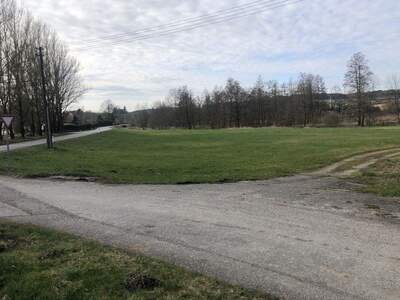 Gewerbeobjekt kaufen in 4760 Raab (Bild 1)