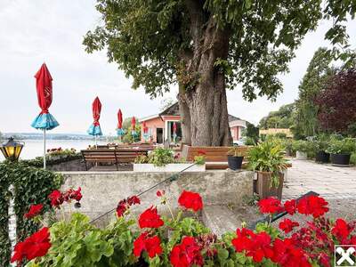 Gewerbeobjekt kaufen in 3680 Metzling (Bild 2)