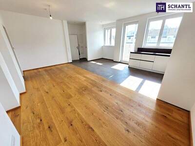 Terrassenwohnung kaufen in 1050 Wien (Bild 5)