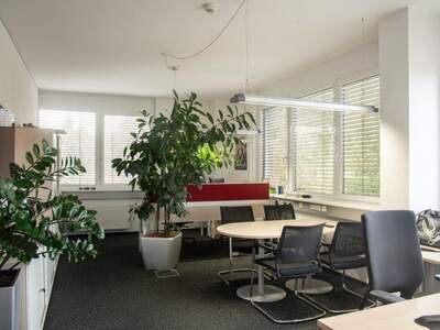 Büro / Praxis mieten in 9020 Klagenfurt (Bild 4)