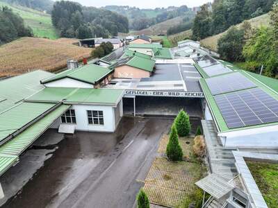 Gewerbeobjekt mieten in 8353 Kapfenstein (Bild 4)