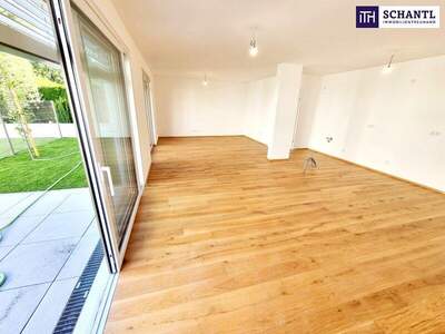 Terrassenwohnung kaufen in 1230 Wien (Bild 2)