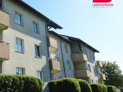 Wohnung mieten in 4261 Rainbach (Bild 5)