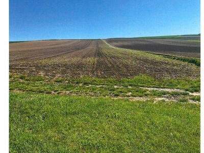 Grundstück kaufen in 2004 Niederhollabrunn (Bild 1)