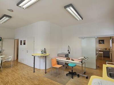 Gewerbeobjekt kaufen in 9800 Spittal (Bild 5)