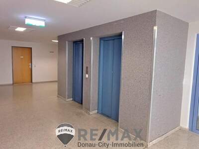 Wohnung mieten in 1100 Wien (Bild 5)