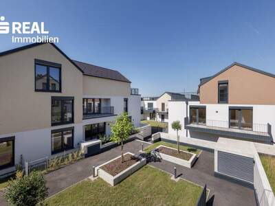 Terrassenwohnung kaufen in 2020 Hollabrunn (Bild 5)