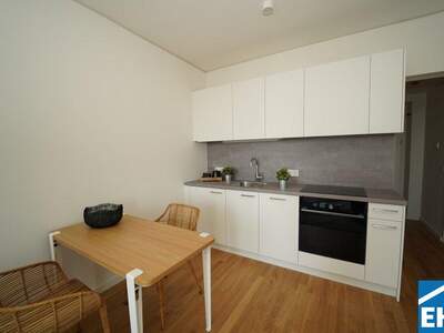 Terrassenwohnung mieten in 1220 Wien (Bild 4)