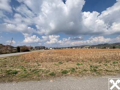 Grundstück kaufen in 4782 Sankt Florian (Bild 3)