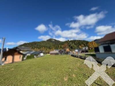 Grundstück kaufen in 8983 Bad Mitterndorf