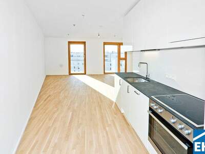 Terrassenwohnung mieten in 1100 Wien (Bild 4)