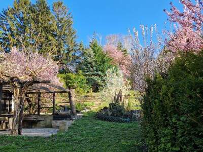 Haus kaufen in 3430 Chorherrn