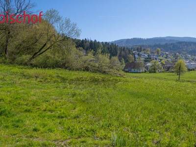 Grundstück kaufen in 6858 Schwarzach