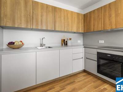 Terrassenwohnung mieten in 1200 Wien (Bild 1)