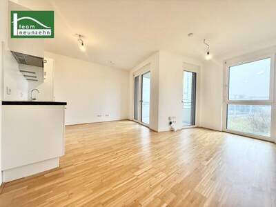 Terrassenwohnung mieten in 8020 Graz (Bild 1)