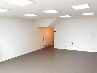 Gewerbeobjekt mieten in 2544 Leobersdorf (Bild 3)