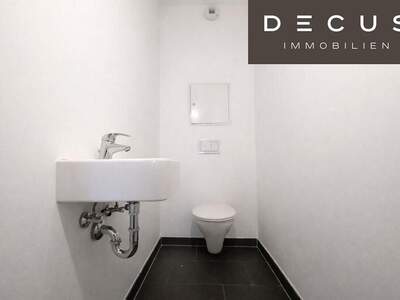 Terrassenwohnung mieten in 1100 Wien (Bild 3)