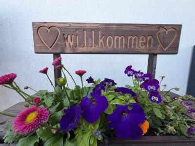 Haus kaufen in 8410 Wildon