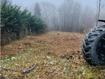 Grundstück kaufen in 3032 Eichgraben (Bild 4)