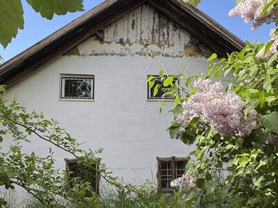 Grundstück kaufen in 4491 Niederneukirchen