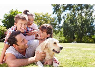 Grundstück kaufen in 8072 Dillach