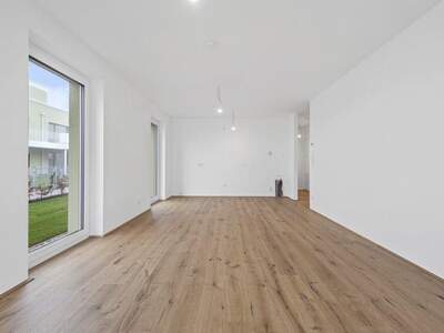 Terrassenwohnung kaufen in 2540 Bad Vöslau (Bild 5)