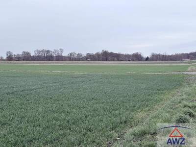 Gewerbeobjekt kaufen in 2263 Dürnkrut