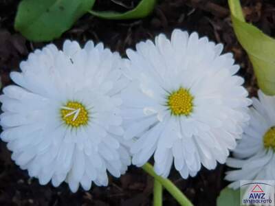 Mietwohnung in 1020 Wien