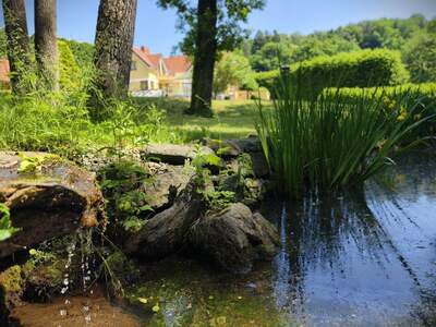 Haus kaufen in 8044 Graz