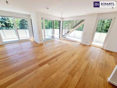 Terrassenwohnung kaufen in 2391 Kaltenleutgeben (Bild 5)