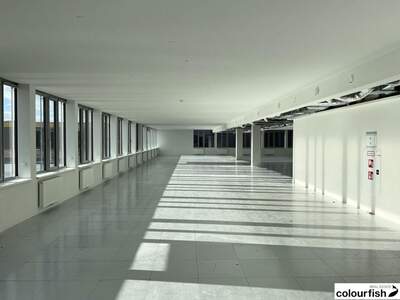 Gewerbeobjekt mieten in 1230 Wien (Bild 3)