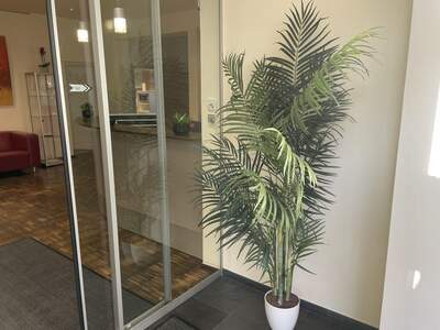 Gewerbeobjekt mieten in 8010 Graz (Bild 5)